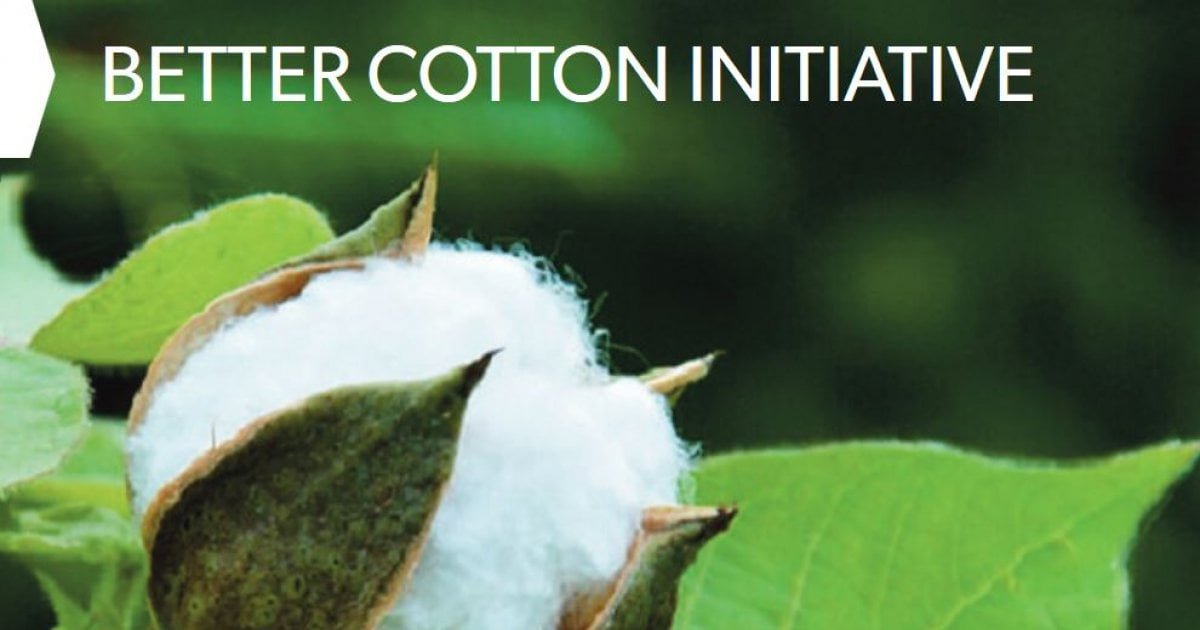 the-better-cotton-initiative-making-cotton-sustainable-soboconcepts