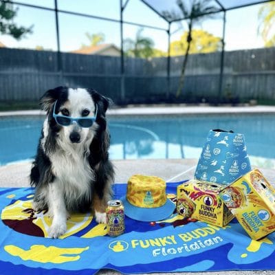 Funky Buddha Influencer Kits