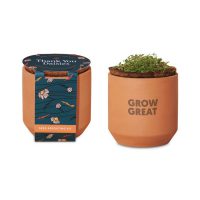 Modern Sprout® Tiny Terracotta Grow Kit Thank You Daisies - Terracotta 