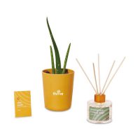Modern Sprout® Find Balance Take Care Kit - Aloe - Find Balance 