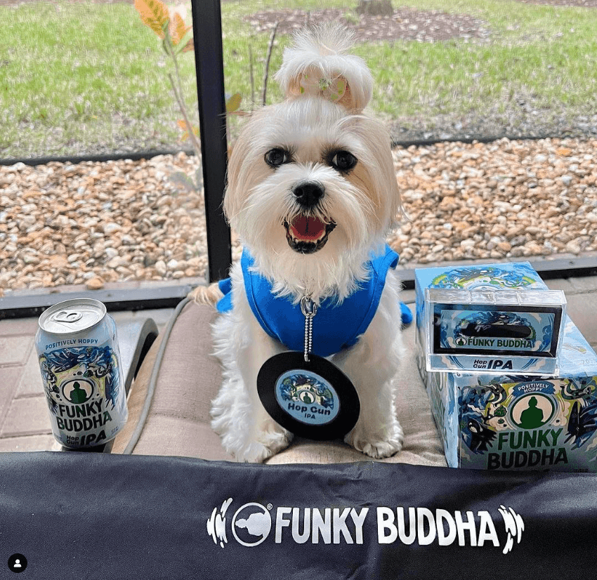 funky buddha 
