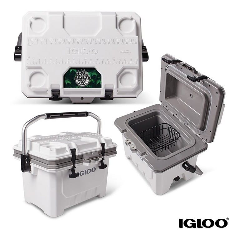 Igloo IMX 24 Quart, 35-Can Cooler 