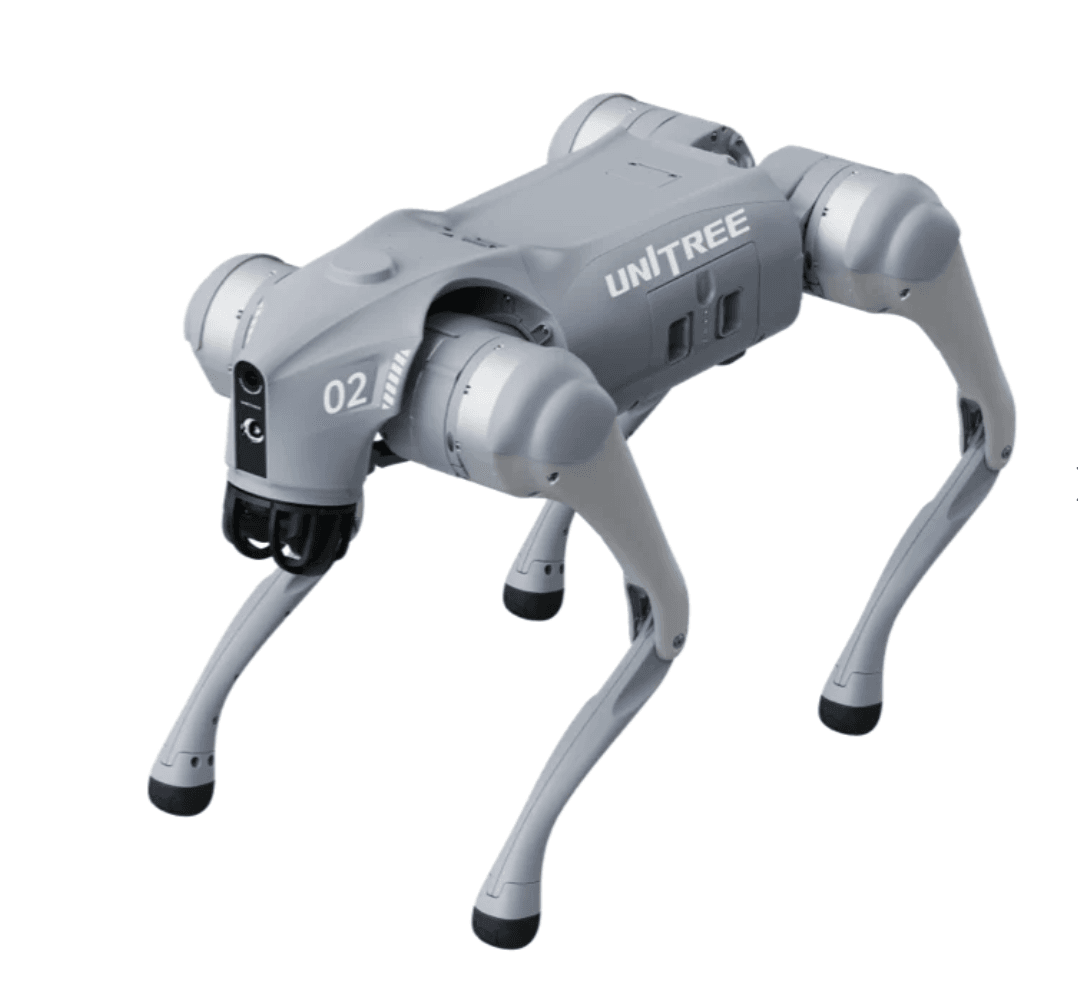 robot dog