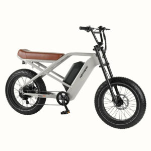 Retrospec Valen Rev 2 Fat Tire Electric Bike