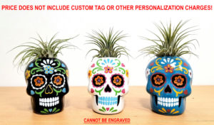 sugar skull plant